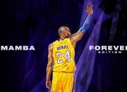 PG电子官网入口-决胜时刻，兹维列夫率队ATP总决赛险胜年终总决赛